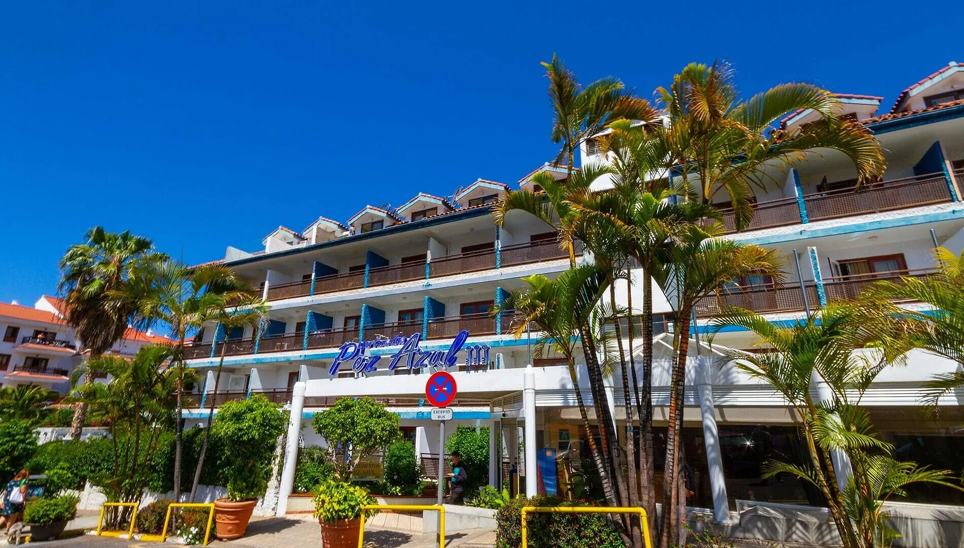 Apartamentos Pez Azul Puerto de la Cruz  Apartahotel