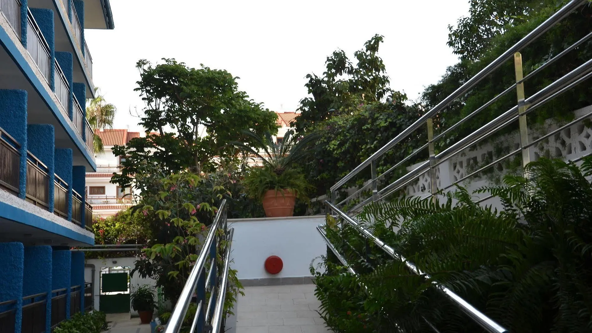 Apartamentos Pez Azul Puerto de la Cruz
